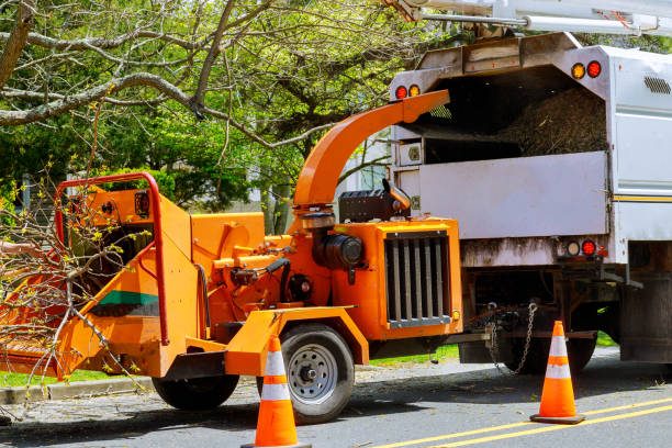 Best Utility Line Clearance  in Burgin, KY